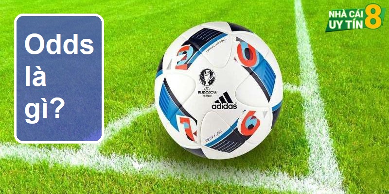 Tìm hiểu các thông tin về odds là gì và kinh nghiệm soi kèo hiệu quả